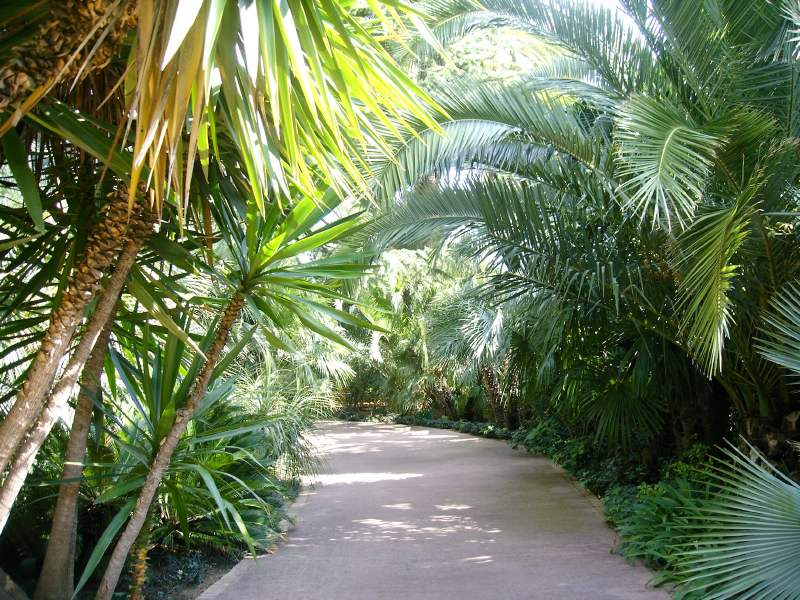 Novell BrainShare Europe 2004 Barcelona